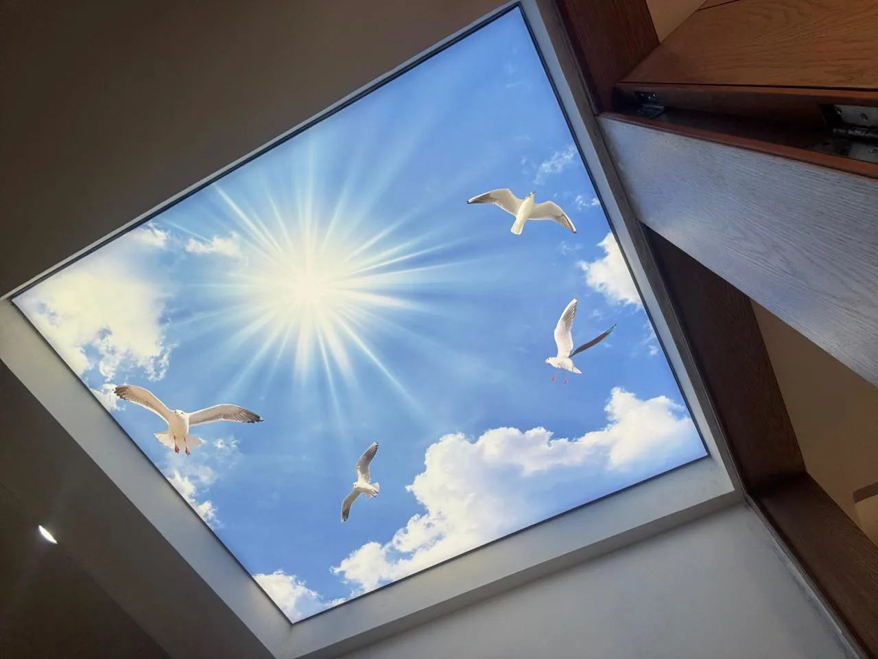 Office Project