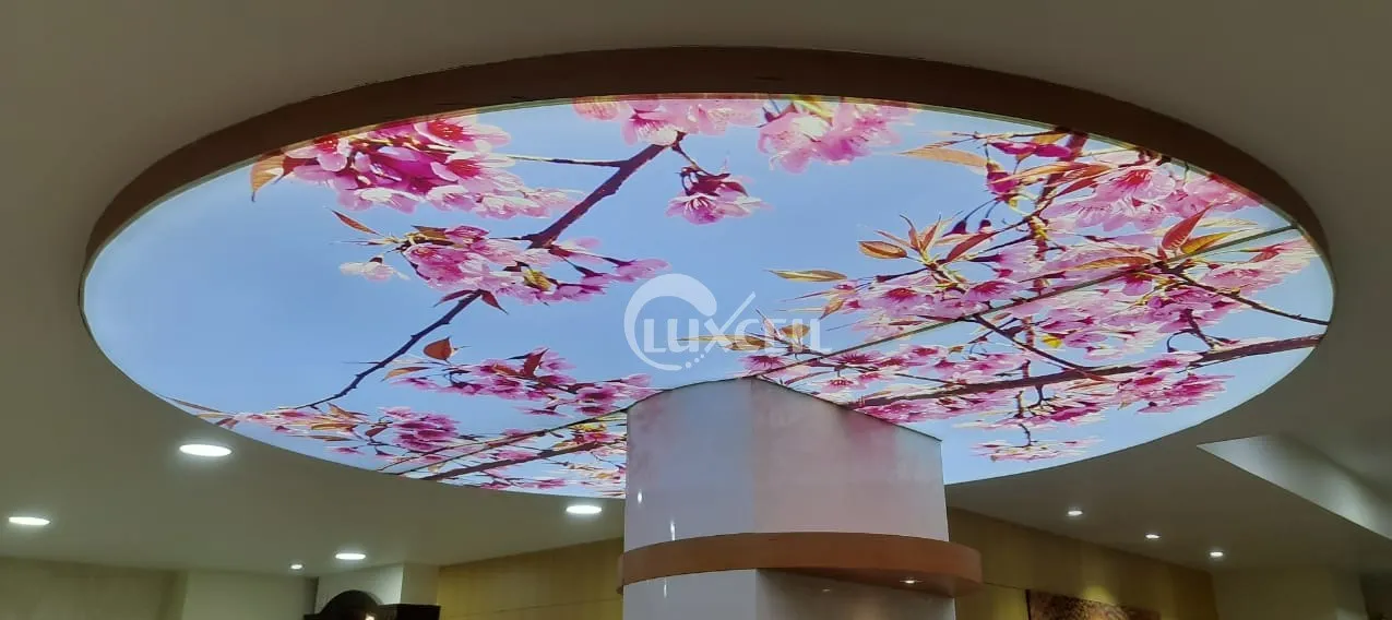 Printed Stretch Ceilings